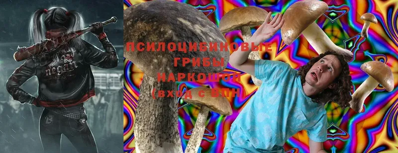 Псилоцибиновые грибы Magic Shrooms  Аша 