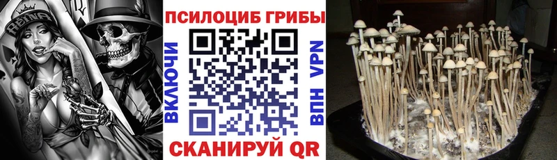 как найти   Аша  Галлюциногенные грибы ЛСД 