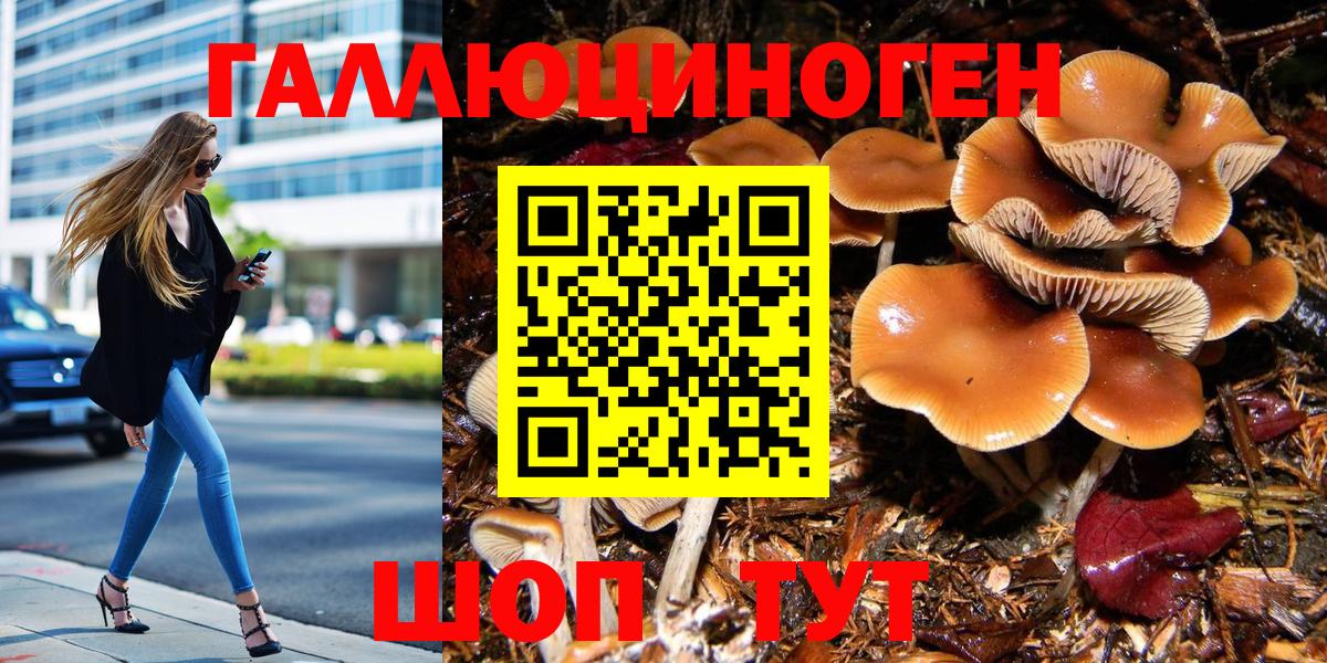 Галлюциногенные грибы мицелий Аша