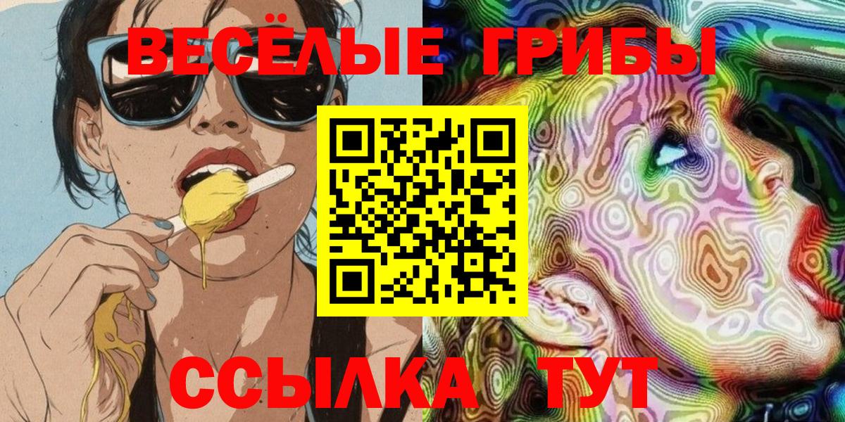 Псилоцибиновые грибы Psilocybine cubensis  Вход с VPN  Галлюциногенные грибы мухоморы  Аша 