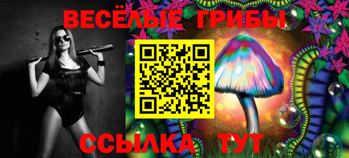 Псилоцибиновые грибы MAGIC MUSHROOMS  Аша 